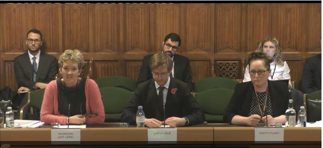 Professor Judy Laing giving evidence to the Joint Committee on the draft Mental Health Bill.